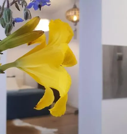 Old Town Lejlighed Poznań