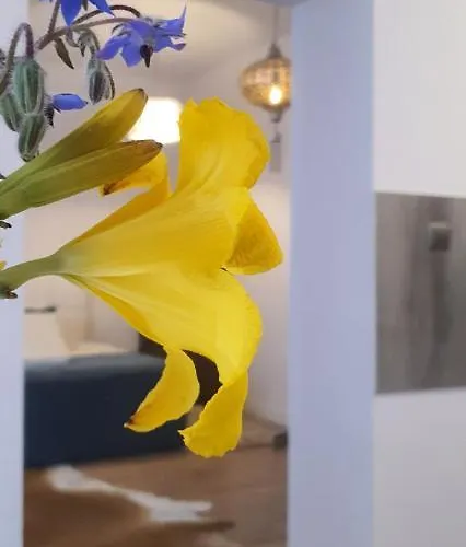 Old Town 아파트 포즈난